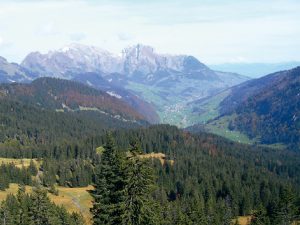 Voralpine Flyschgebiete bieten optimale Voraussetzungen für die Förderung des Auerhuhns in den Alpen. Foto: K.Bollmann