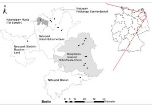 Lage der Untersuchungsflächen, alle in Großschutzgebietenim Nordosten Deutschlands gelegen.